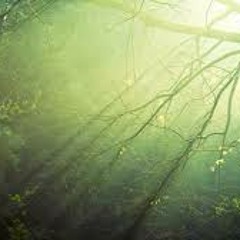 Shpongle - When Shall I Be Free