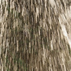 Heavy Rainfall