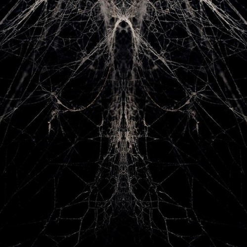 DITA REDRUM - CALM/NESS