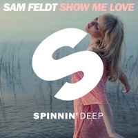Sam Feldt - Show Me Love (WasteLand Unofficial Remix)