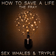 The Fray -  How To Save A Life (Sex Whales & Tryple Remix)