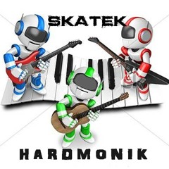 Luca Skatek_HARDMONIK (VINTAGE EP OUT NOW)