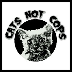 Drinking and Driving (The Business cover)