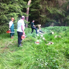 2015kw24_-_four_men_injured_in_power_saw_accidents