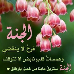 نونية ابن القيم في وصف الجنة . إدريس أبكر