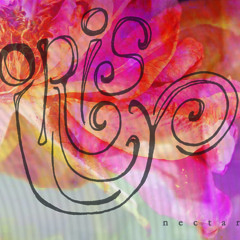Iris - Ghost