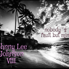Johnny Lee Johnson Vol VIII Nobody´s Fault But Mine