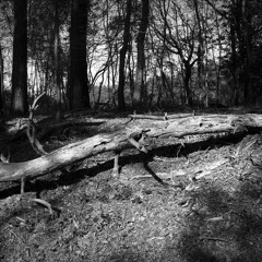 03 Say Ill Be The One