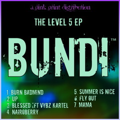 THE LEVEL 5 EP