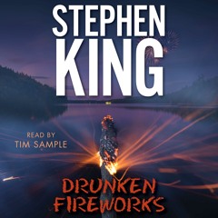 DRUNKEN FIREWORKS Audiobook Excerpt