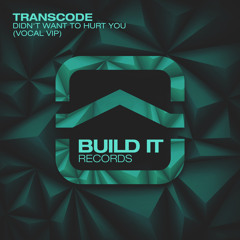 Transcode - Didn't Want To Hurt You (Vocal VIP Mix) [Premiere]