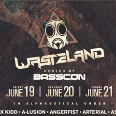 EDC Wasteland 2015