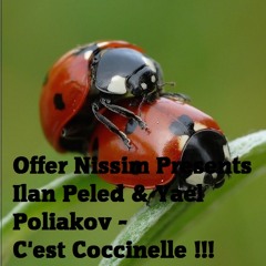 Offer Nissim Presents Ilan Peled & Yael Poliakov - C'est Coccinelle