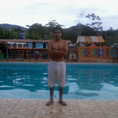 Cristian Mix Hyo(me voy enamorando)