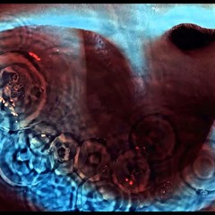 Pink Floyd-One Of These Days Bass Cover