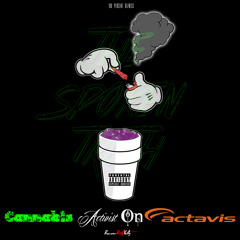 Cannabis Activist on Actavis (prod: BowserBeatzYoAz)