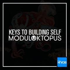 Moduloktopus - Keys To Building Self
