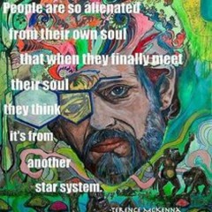 Terence McKenna Vs Carl Jung  at A new psychedelic approach