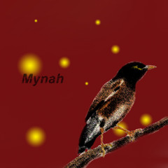 Head On (The Jesus And Mary Chain Cover)