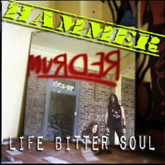 LIFE BITTER SOUL: Hammer