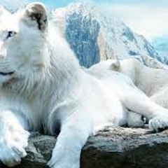 Dreadknowledge Artic Jungle Mix 2015