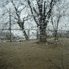 Love Love Love - Of Monsters and Men (cover)