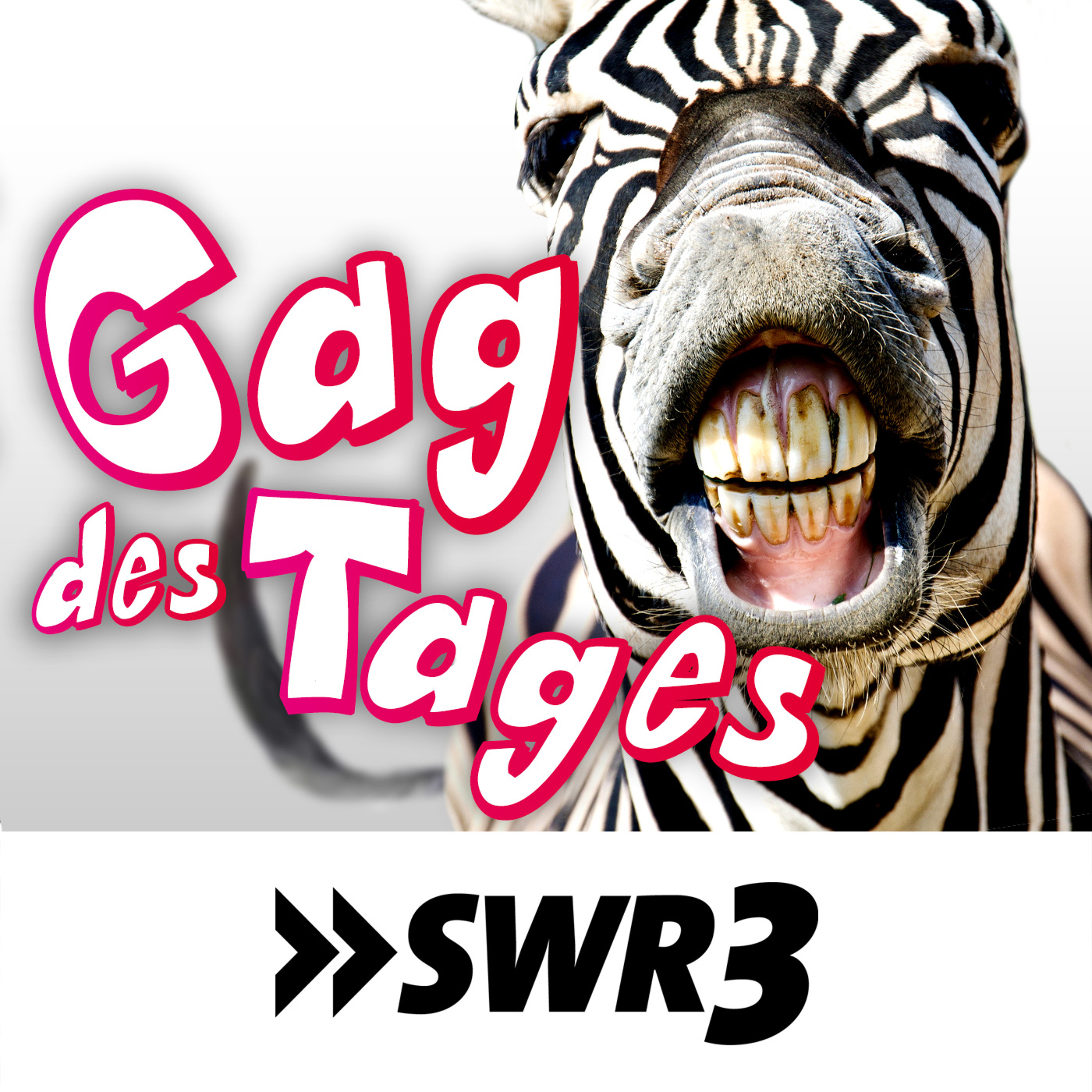 SWR3