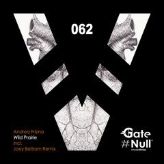 Andrea Frisina - Wild Prairie (Original Mix)