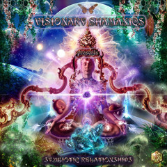 Holographic Library_(oldy goldy-06/07_@ Visionary Shamanics Rec.