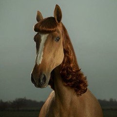 Pete Drungle - Non's Theme Orchestral