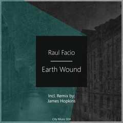 Raul Facio - Earth Wound (Original Mix)