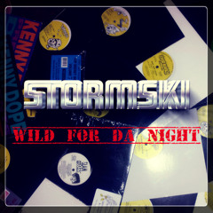 STORMSKI - WILD FOR DA NIGHT
