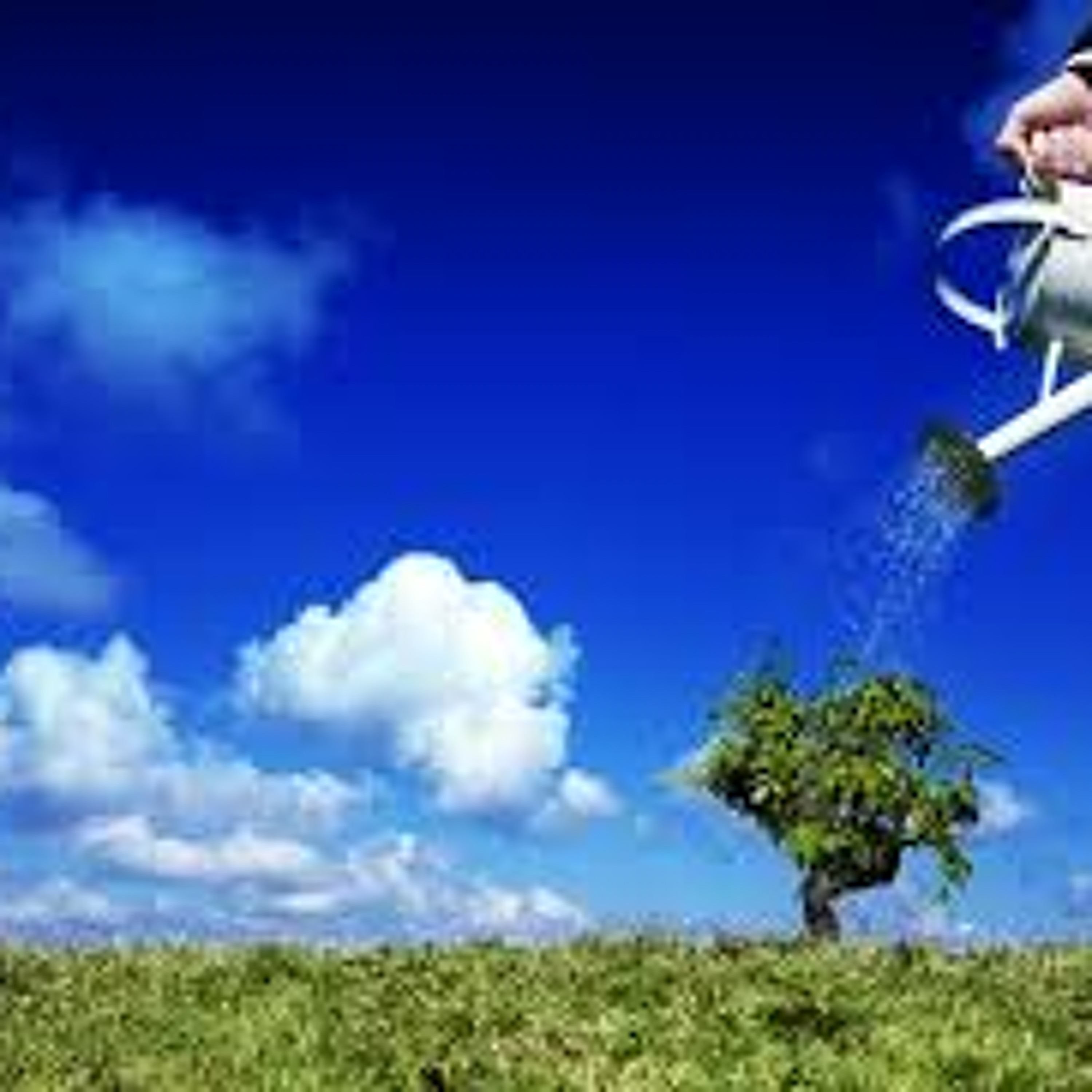 Money Show Small Business Focus