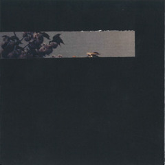 Sebastien Crusener - A View Without A Room Excerpt II (Humus 1501)
