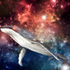 ENDGAME - Space Whale Giving Birth Instrumental