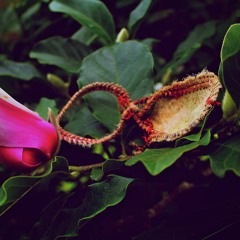 ♥ (Prod. 3rdeyebeats)