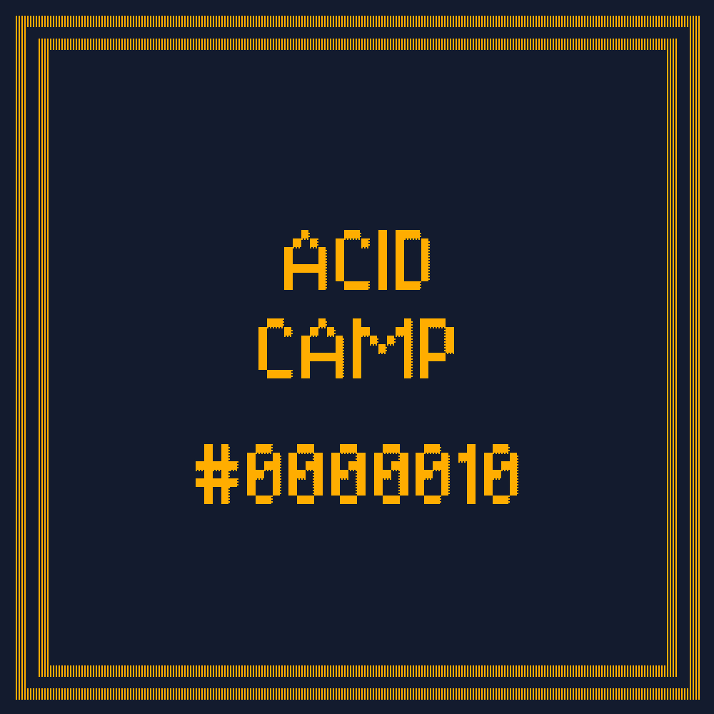 Acid Camp Vol. 10 - Ed Vertov