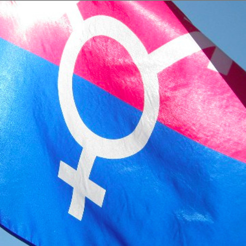 Stream Transgender Representation in Pop Culture by Bitch Media