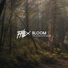 The Paper Kites - Bloom (Close To You)(Phlex Remix)