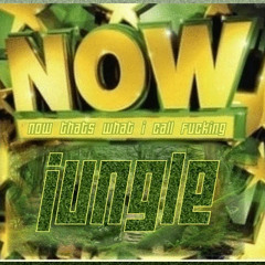 Now Thats What I Call Fucking Jungle - DJ Brownie - FREE DOWNLOAD