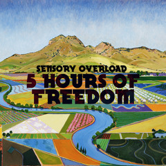 5 Hours Of Freedom