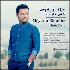 Meysam Ebrahimi - Hesse To