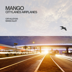 MANGO, RICHARD J AARDEN, ANEYM Soulmates (Citylanes Edit)