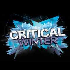 Vito b2b Mei Critical Winter Mix 2015