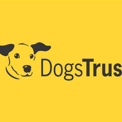 Dogs Trust Radio Advert - IWG Ltd