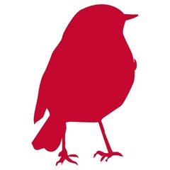 Redbird