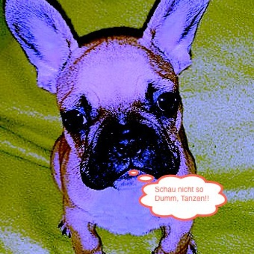 Schau Nicht So Dumm, Tanzen!!