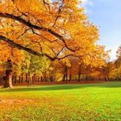 Part 1 Sittings In Ramadhan What Is Meant By The Term Salaf By Abu Khadeejah170615