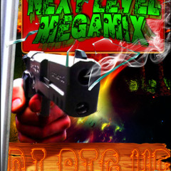 DJ Big Up NEXT LEVEL Mégamix