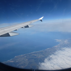 trip_02